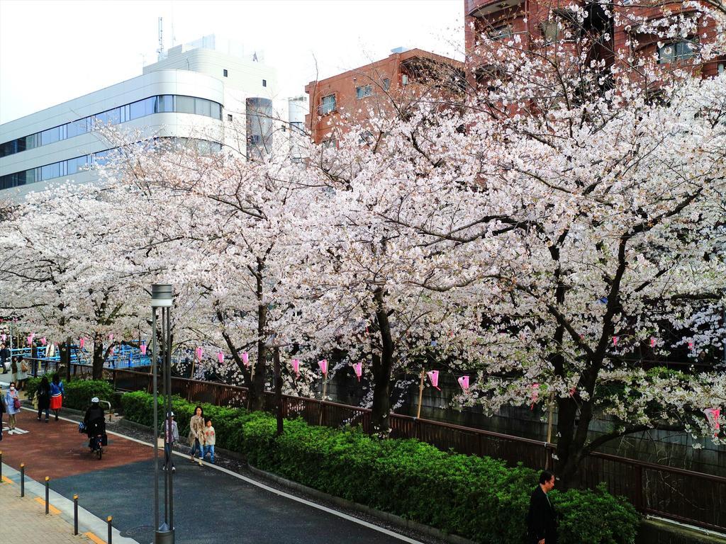 東京都Coto東京渋谷2アパートメント エクステリア 写真